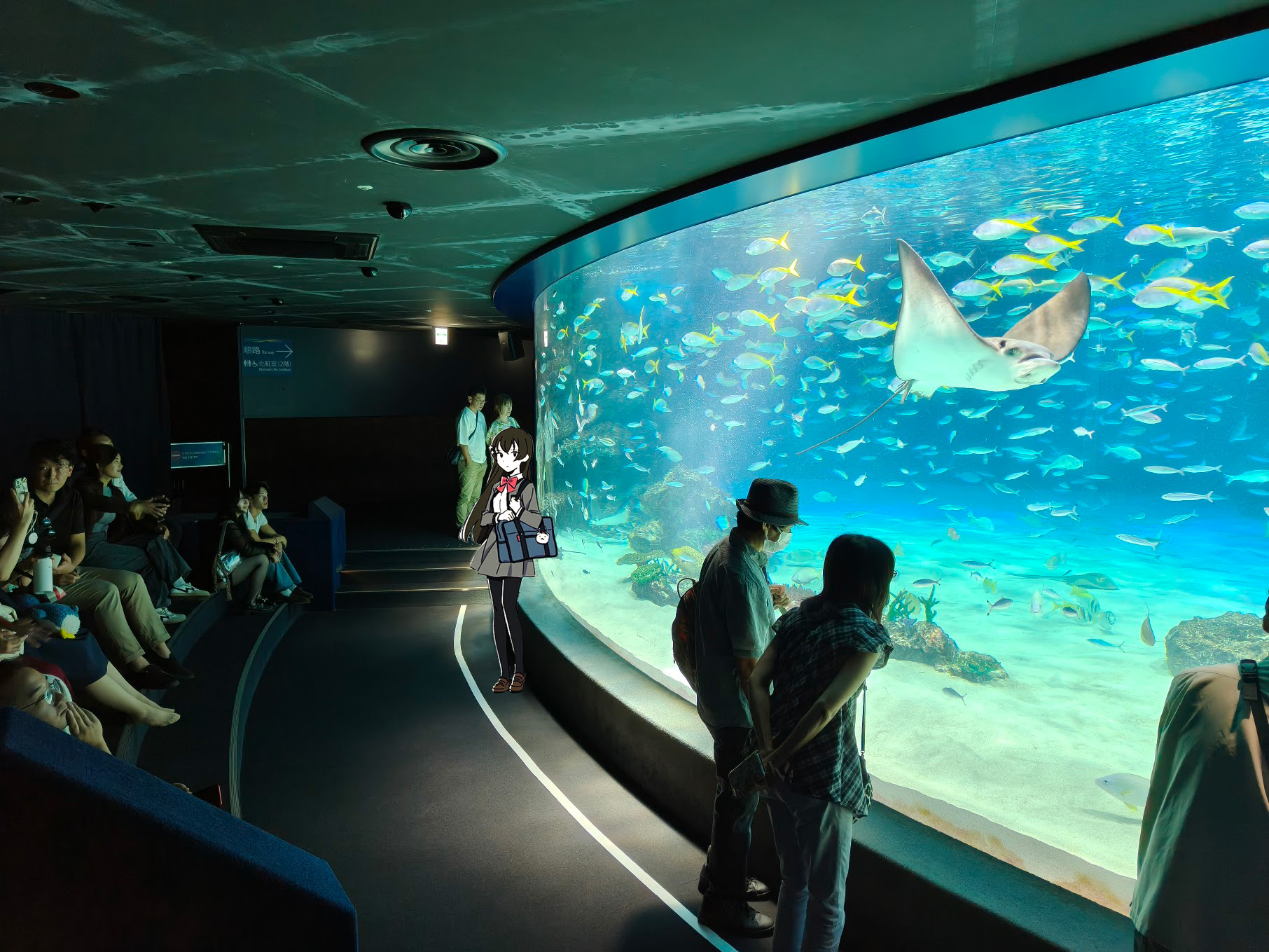 剧场版海报中出现过的水族箱*